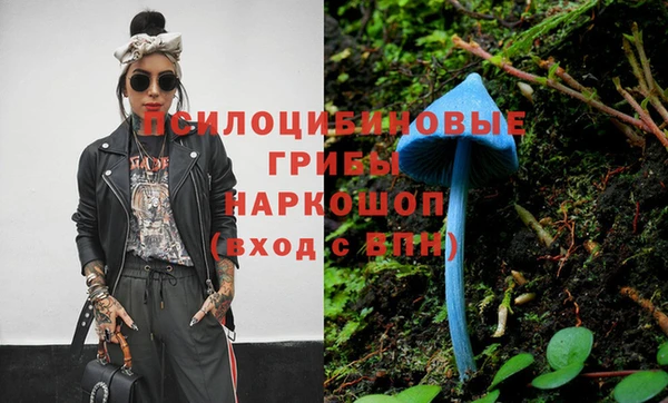 не бодяженный Алзамай