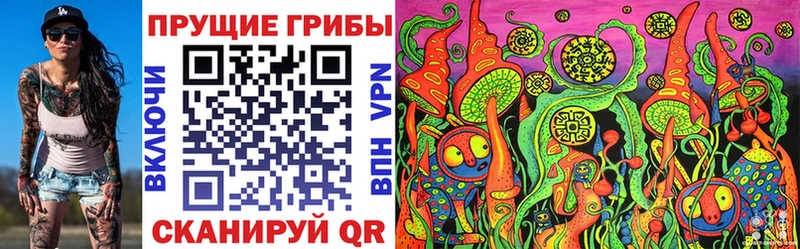 гидра как зайти где купить Гусь-Хрустальный Галлюциногенные грибы Psilocybine cubensis